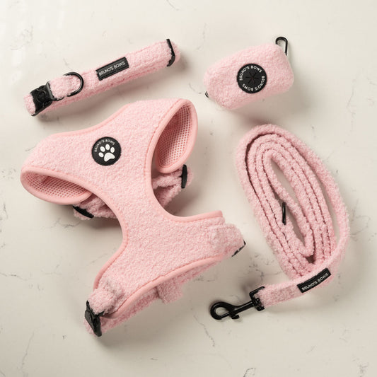 Teddy Pink Harness Bundle