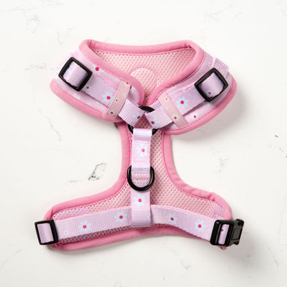Daisy Dog Harness