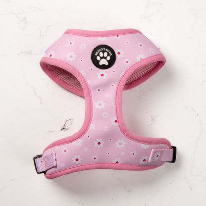 Daisy Dog Harness
