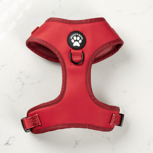 Ruby Dog Harness
