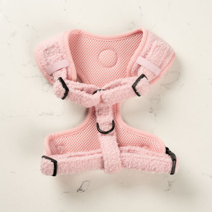 Teddy Pink Harness
