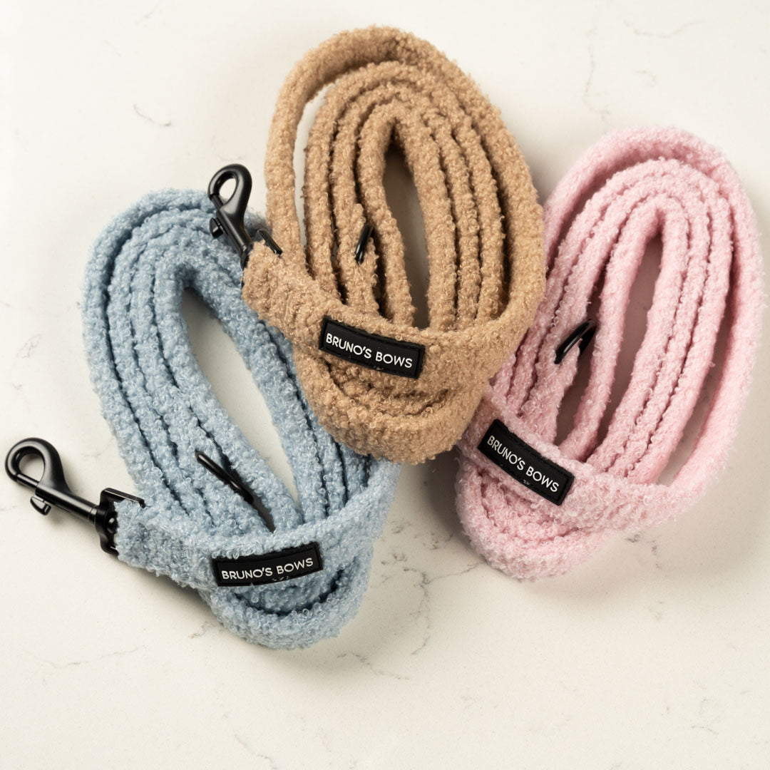 Teddy Blue Lead