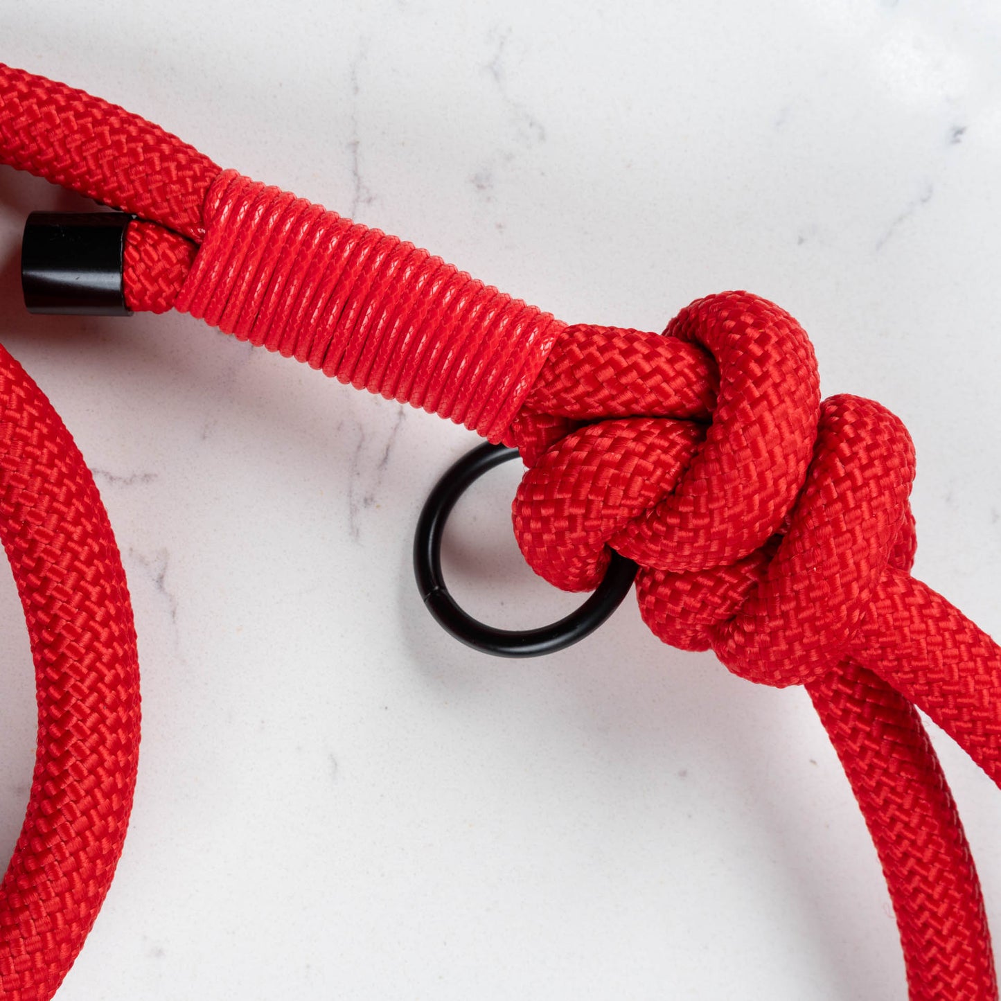 Ruby – Rope Lead