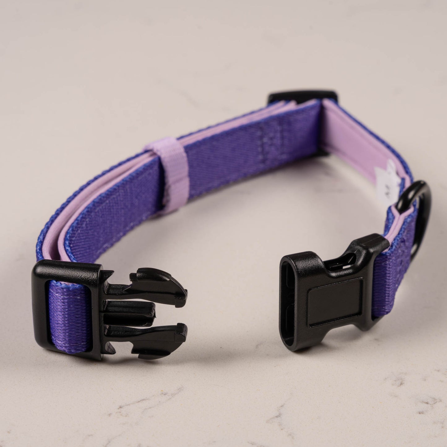 Violet Collar