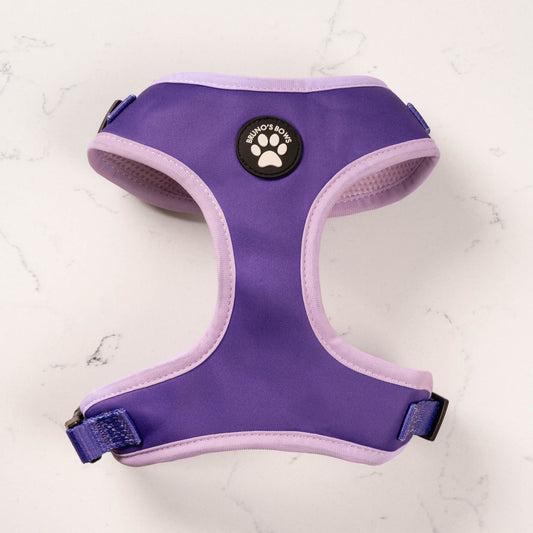 Violet Dog Harness