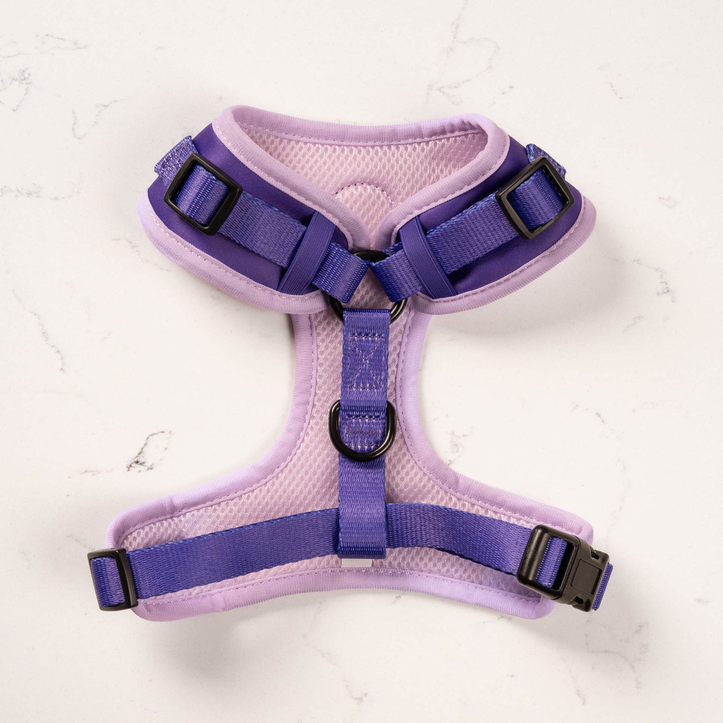 Violet Dog Harness
