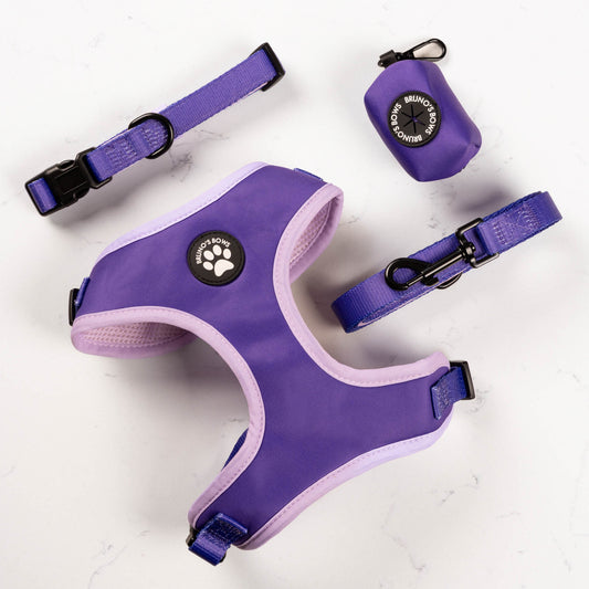 Violet Harness Bundle