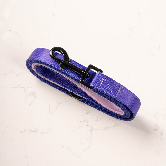 Violet Lead